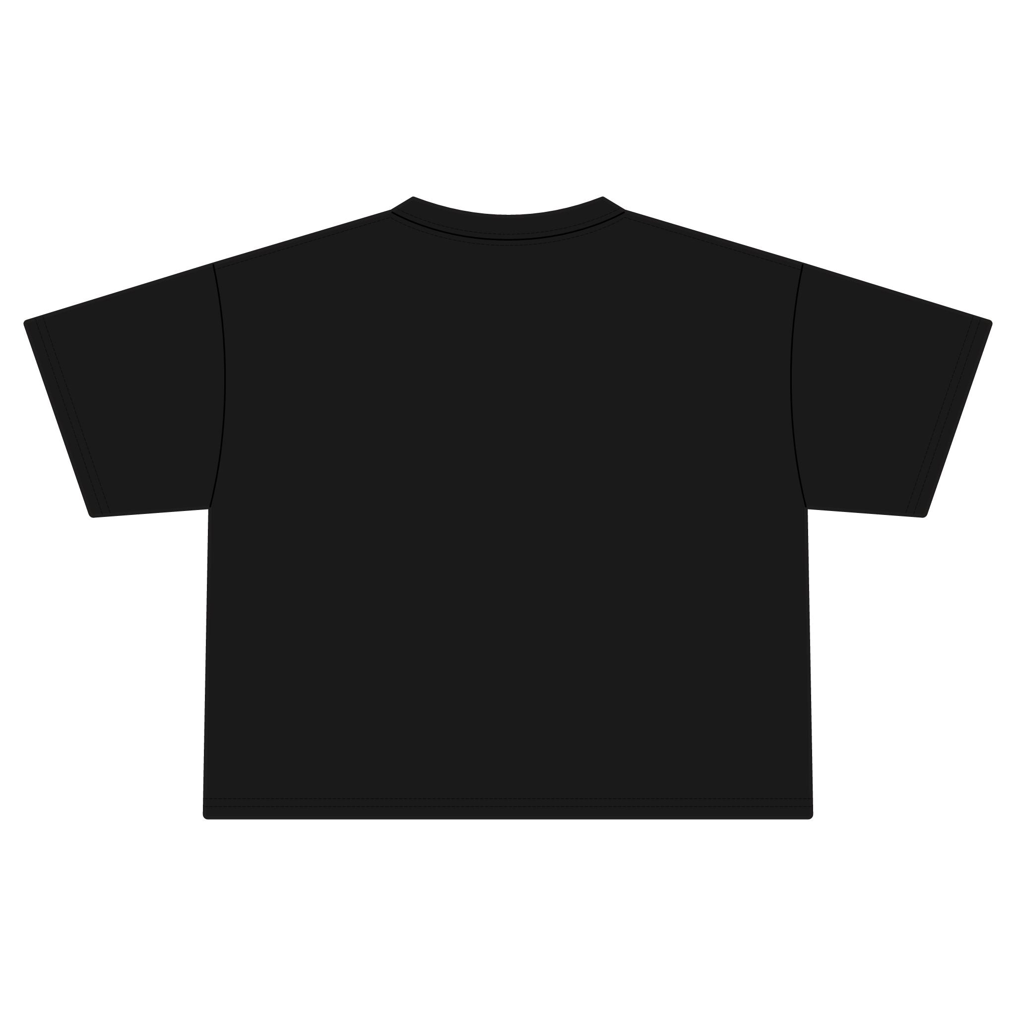 Male Loneliness Epidemic Crop Tee